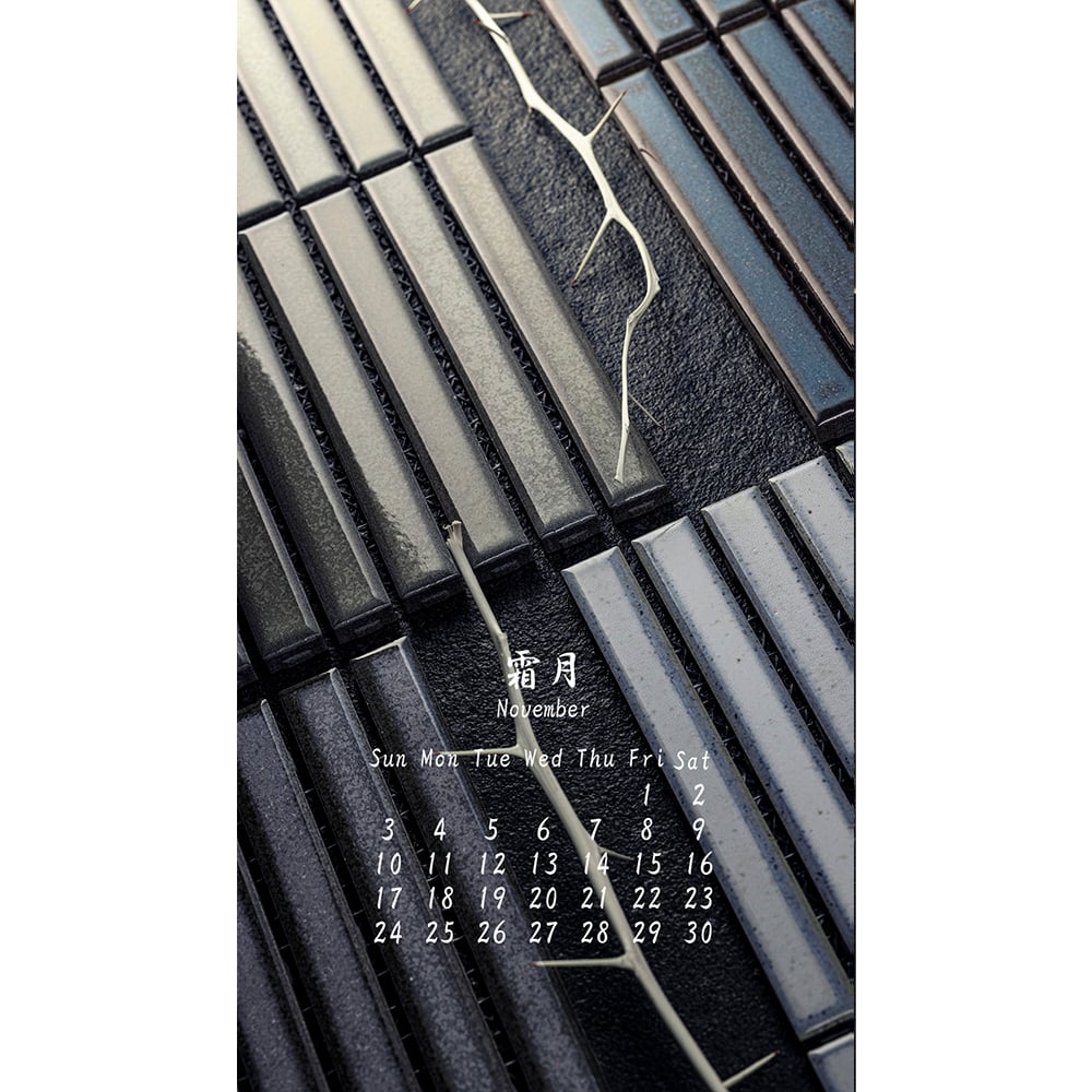 library 2024111-01-1