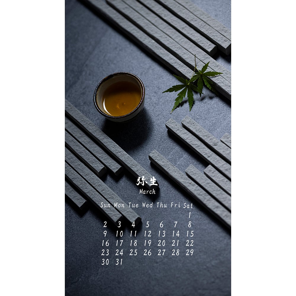 library 202503-01