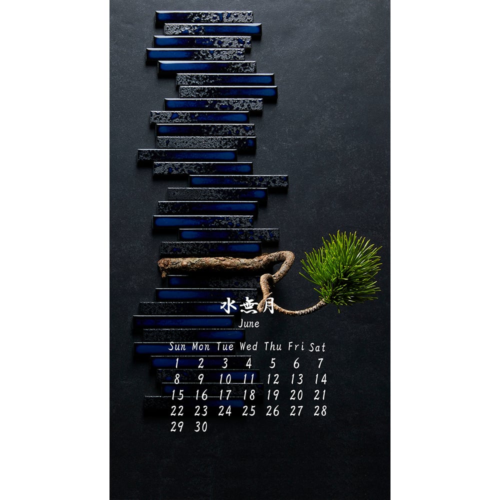 library 202506-01